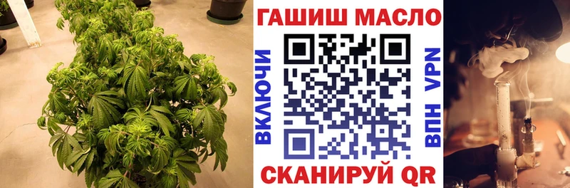 Дистиллят ТГК гашишное масло  наркошоп  Энгельс 