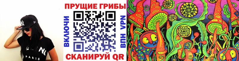 Галлюциногенные грибы Magic Shrooms  где продают   Энгельс 